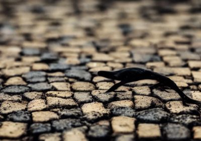 Crawl Errors And Crawl Budget: Are They Ranking Factors?