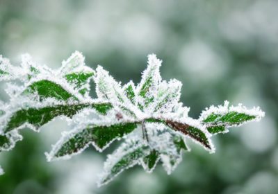 From Freelance Writer To In-House Leader: Meet Aja Frost