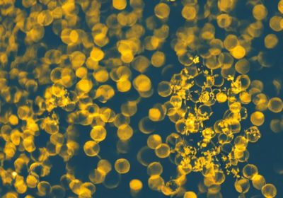 Are Javascript Redirects SEO Friendly?