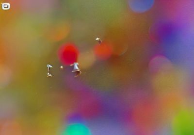 ChatGPT’s Popularity Boosts OpenAI’s Value To $29 Billion