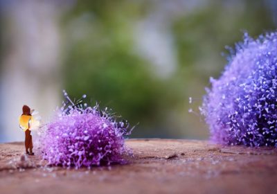 How To Create A WordPress Ecommerce Website