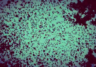 Where Are The Advertisers Leaving Twitter Going For The Super