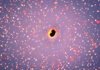 Google Updates Discover Follow Feed Guidelines