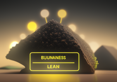 Balancing Efficiency and Quality Through a Lean Business Model